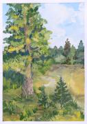 Базанова Вероника. Прогулка в Марьинском бору. Бумага, гуашь. 
п. Вожега